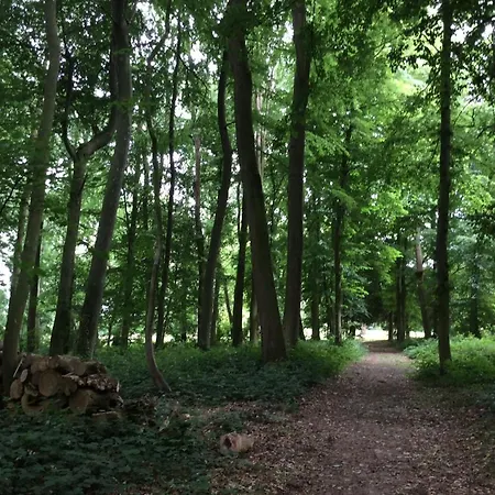 Dom wakacyjny Tomates Cerises A La Ferme De Sorval Walincourt-Selvigny