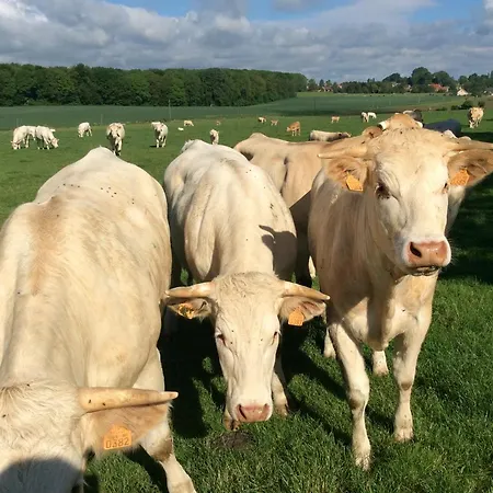 Dom wakacyjny Tomates Cerises A La Ferme De Sorval *