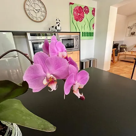 Dom wakacyjny Tomates Cerises A La Ferme De Sorval