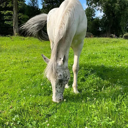 Dom wakacyjny Tomates Cerises A La Ferme De Sorval